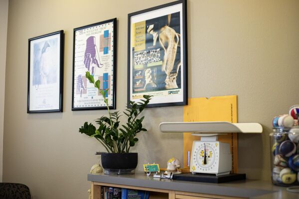 Discovering Brea’s Safest Places to Call Home